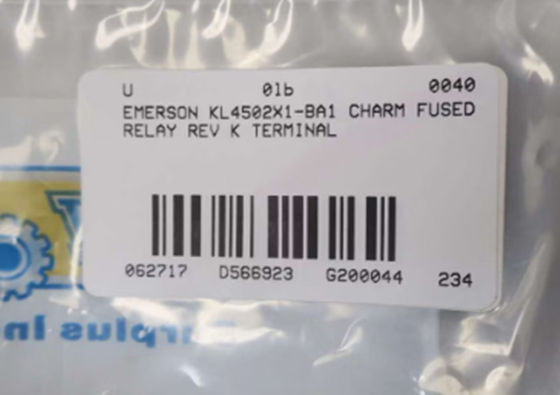 Modulo de terminal de encanto de Emerson KL4502X1-BA1