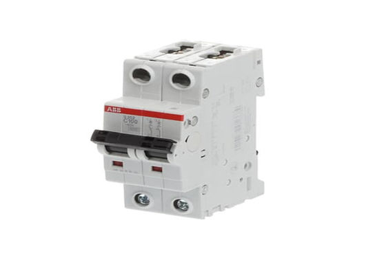 ABB S202-C100 2CDS252001R0824 S202-C100 Interruptor de circuito en miniatura - 2P - C - 100 A