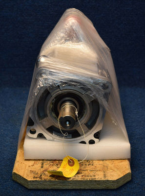 El motor de servicio rotativo de la serie MPM 480V AC